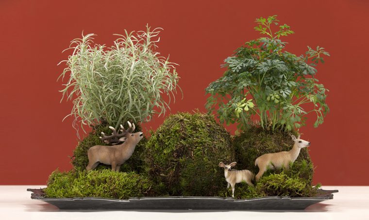 Idee per un centrotavola fai-da-te con i kokedama