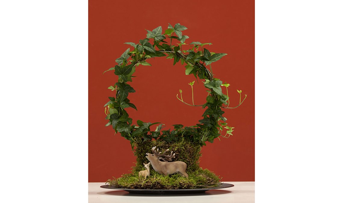 kokedama