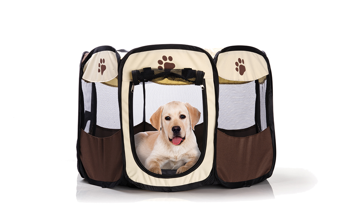cuccia cane
