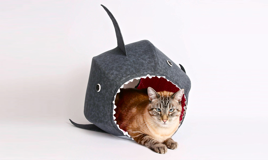 cuccia gatto