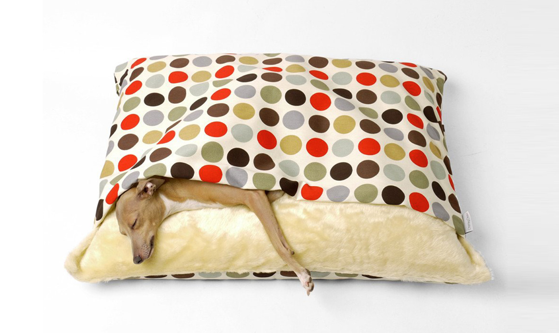cuscino cane