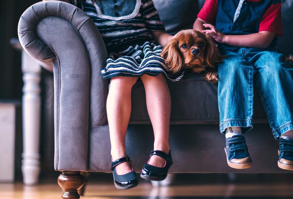 Come pulire il divano non sfoderabile
