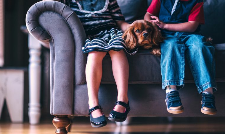 Come pulire il divano non sfoderabile