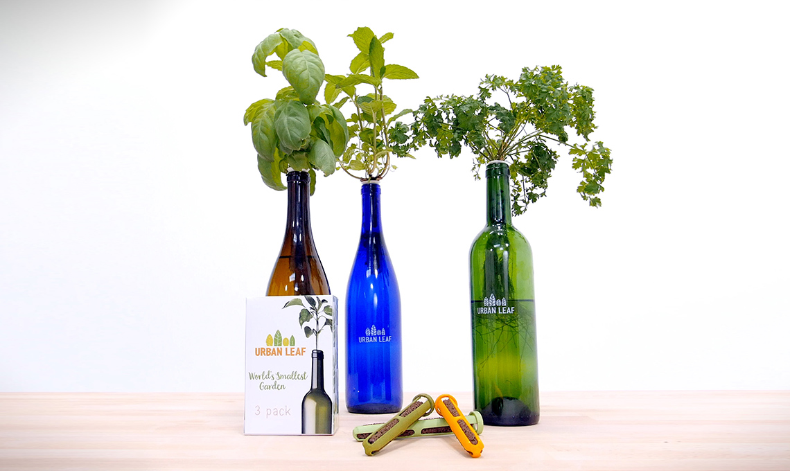 set piante aromatiche