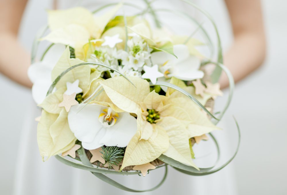 Bouquet di Stelle di Natale per la sposa d’inverno