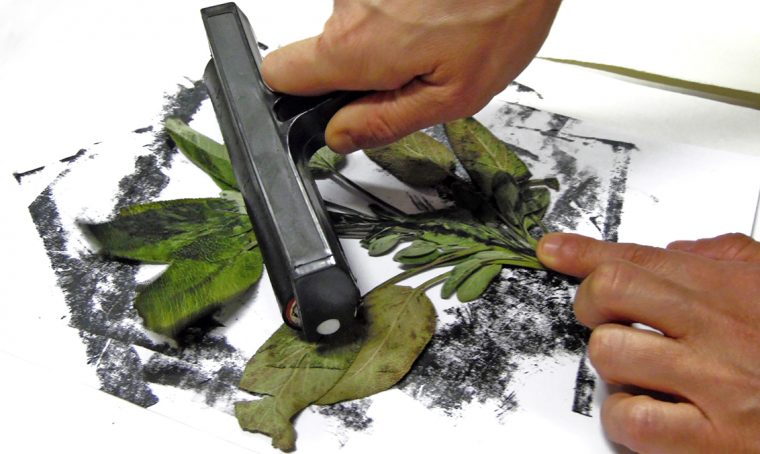 A Torino un workshop per realizzare stampe botaniche