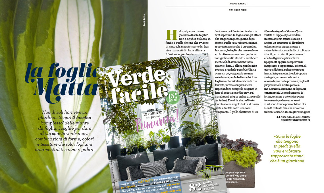 Foglie giardino