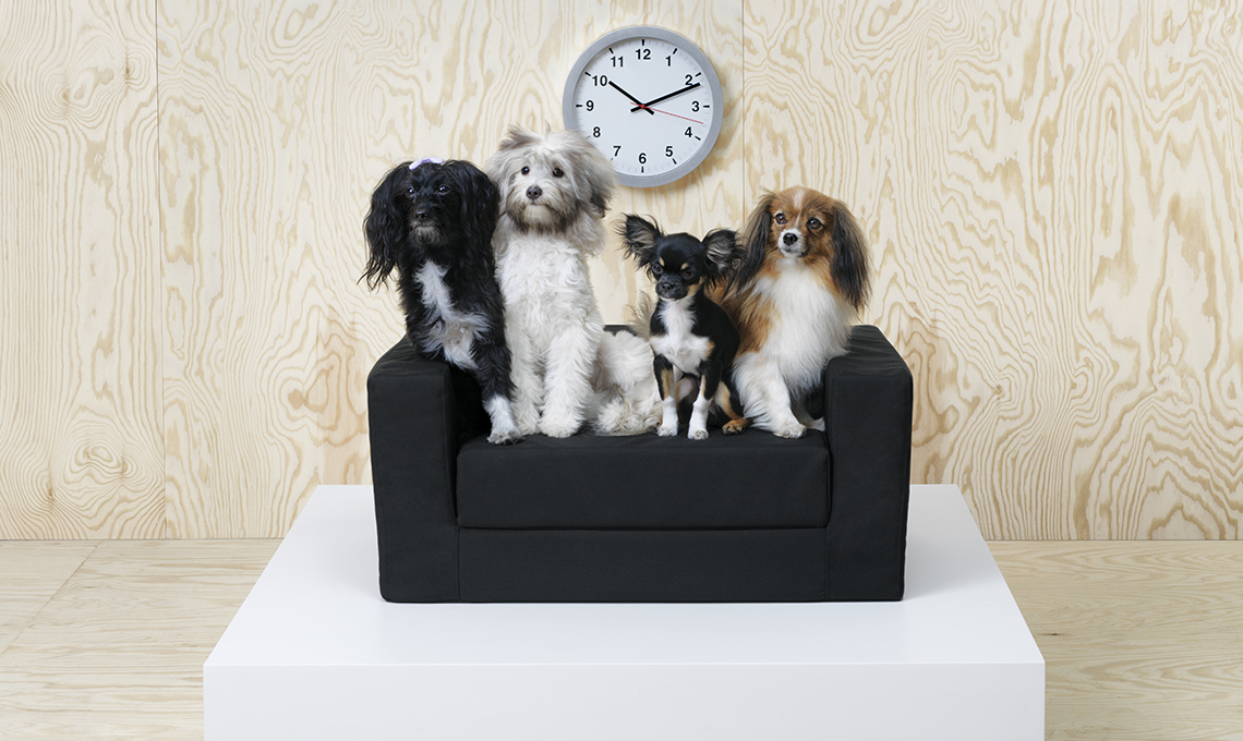collezione-animali-ikea-divanetto