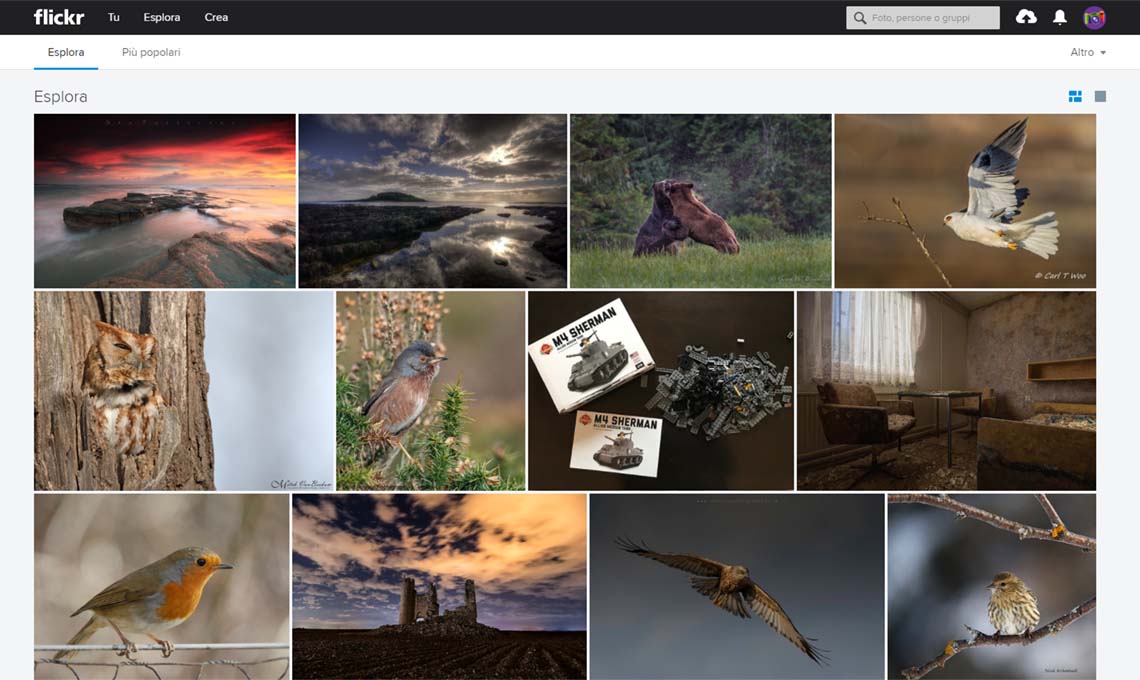 Flickr