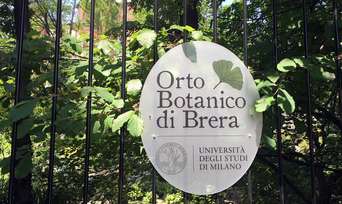 Orto Brera