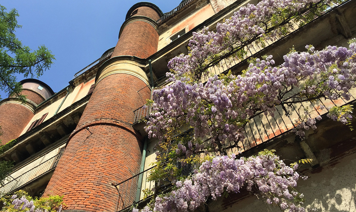 Orto Botanico Brera