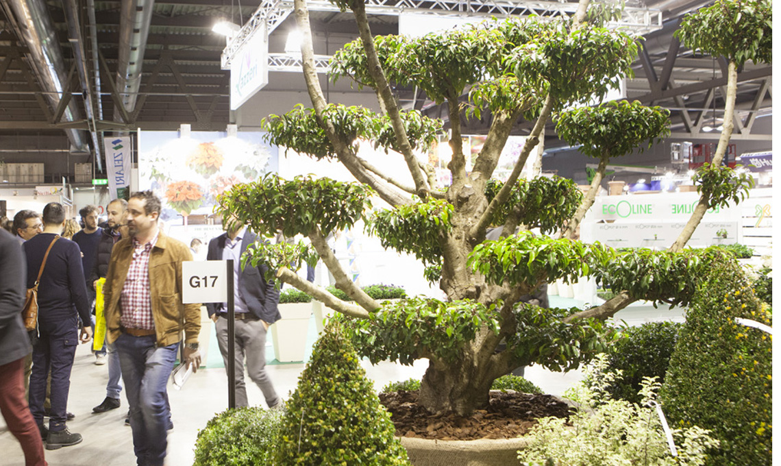 fiera Myplant