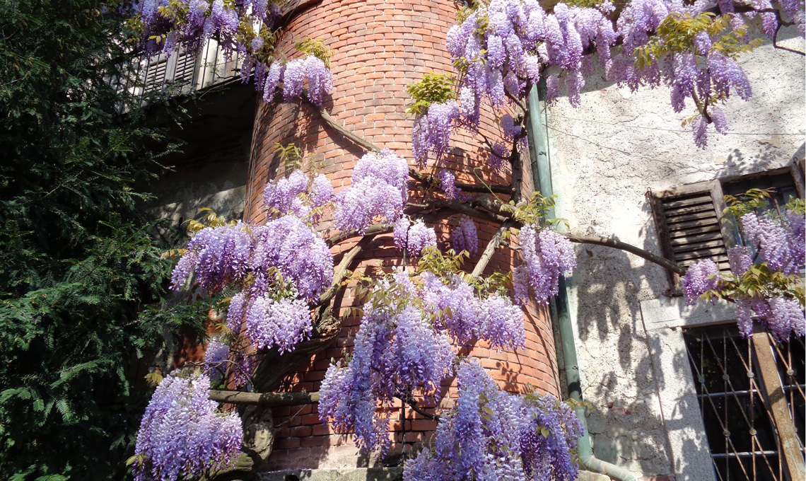 Orto Botanico Brera