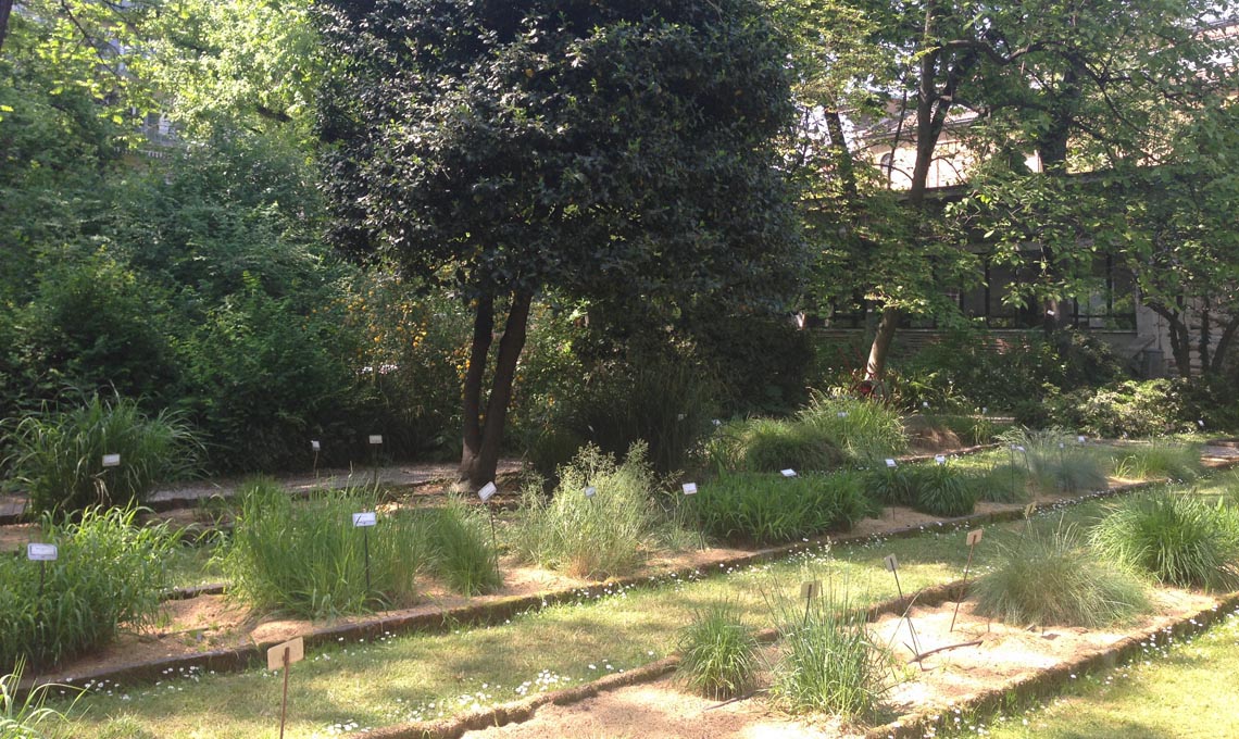 Orto Botanico