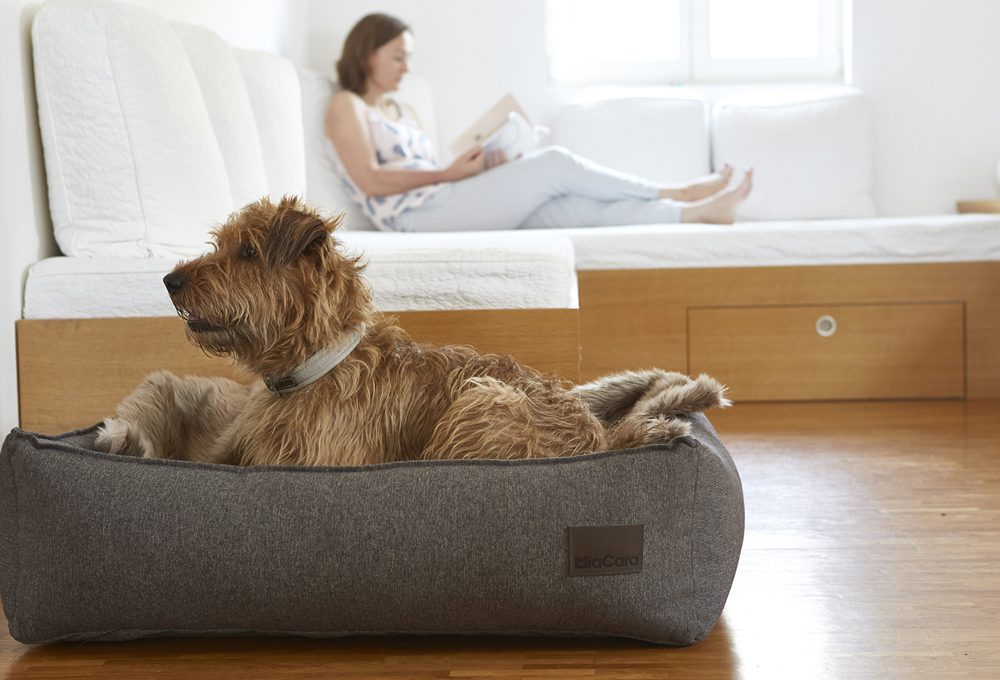 Ciotole, cucce e accessori per cani e gatti