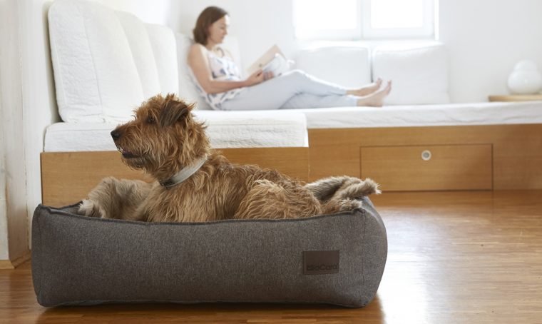 Ciotole, cucce e accessori per cani e gatti