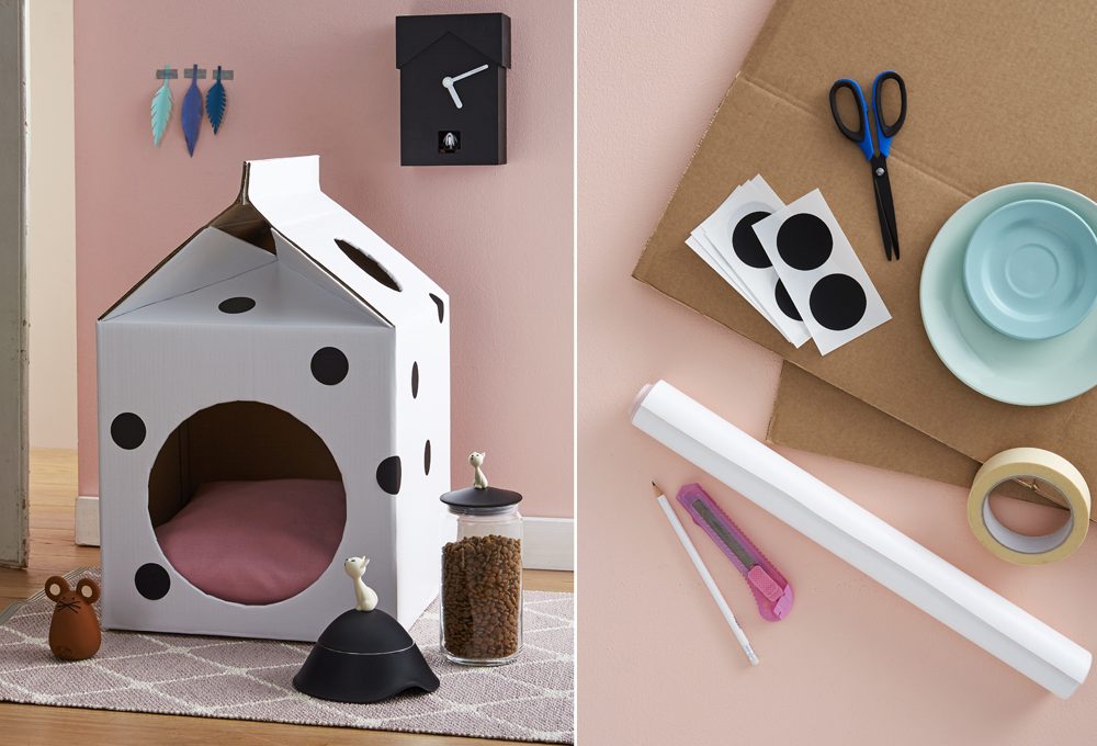 Ami i gatti? Crea, dona e vinci con il concorso Let’s Help di Casafacile & Natural Trainer!