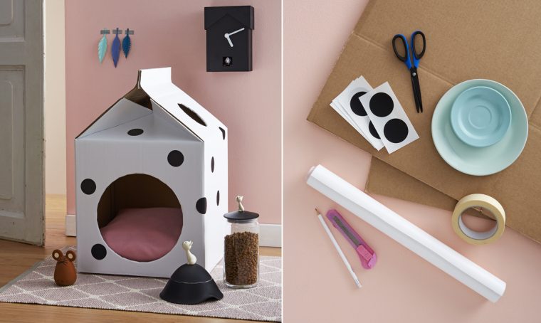 Ami i gatti? Crea, dona e vinci con il concorso Let’s Help di Casafacile & Natural Trainer!