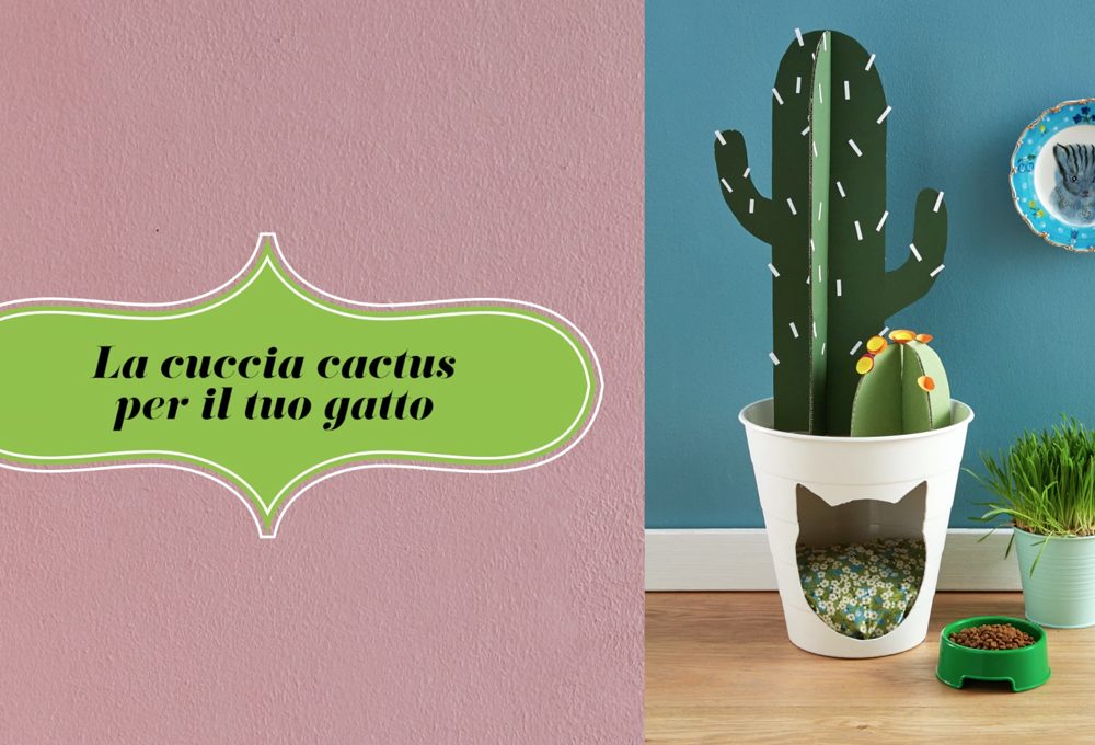 La cuccia cactus fai-da-te per il tuo gatto