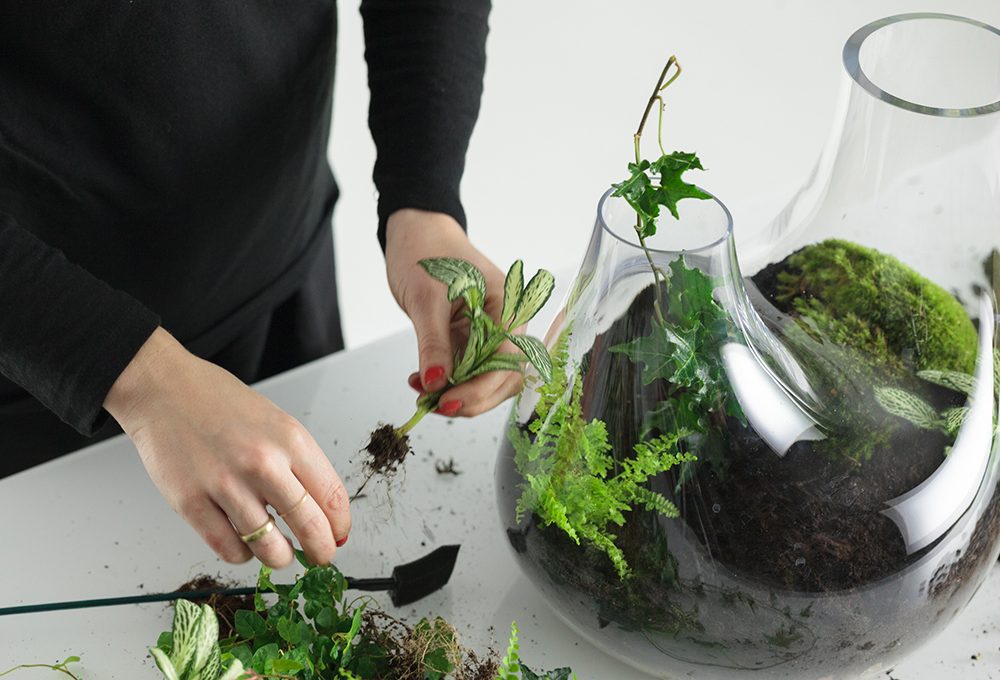 Il terrario di design firmato Tom Dixon