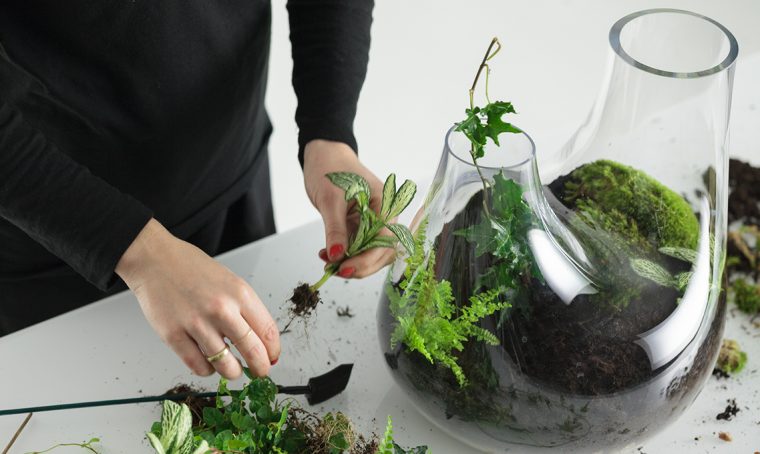 Il terrario di design firmato Tom Dixon