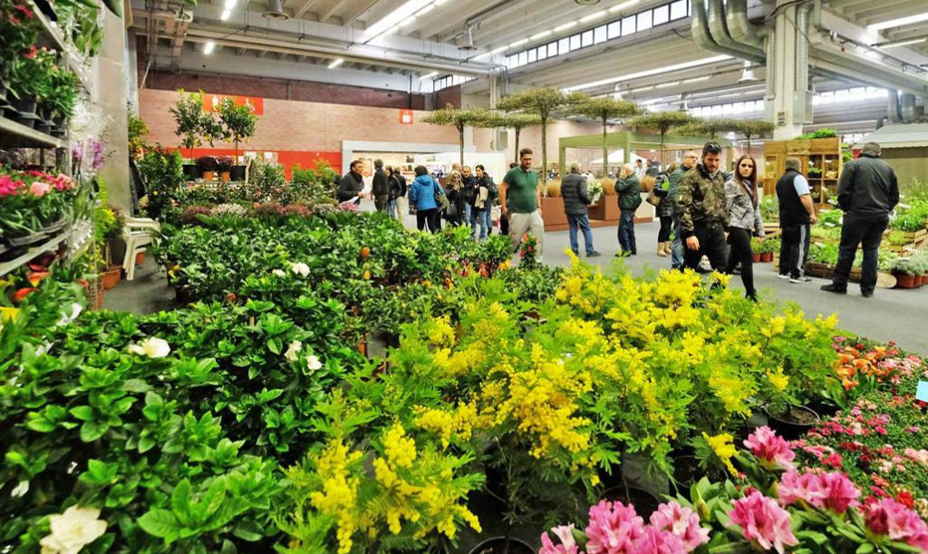 fiera modena piante