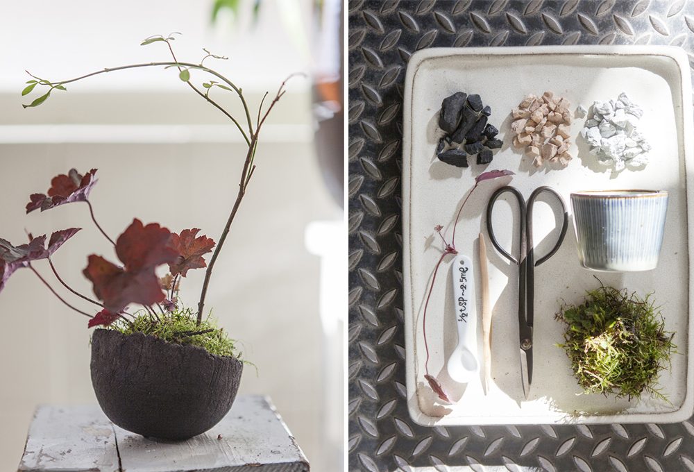 Come fare un Kusamono: il mini giardino giapponese