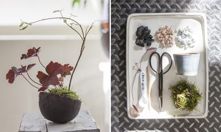 Come fare un Kusamono: il mini giardino giapponese