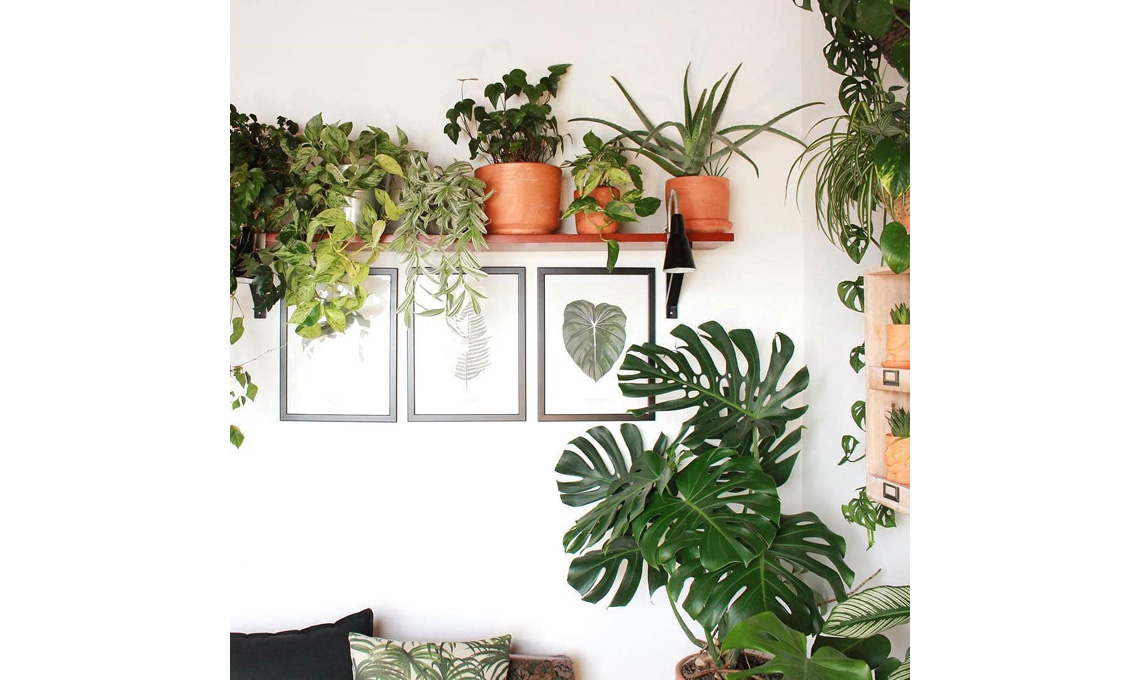 @ivymuse_melb