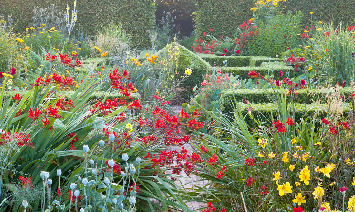 jardin-plume