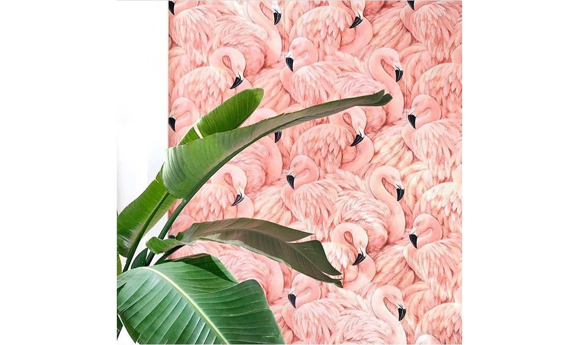 @plantsonpink