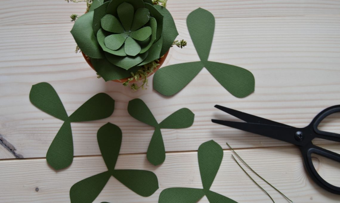 CasaFacile_CIGoccione_succulente_carta