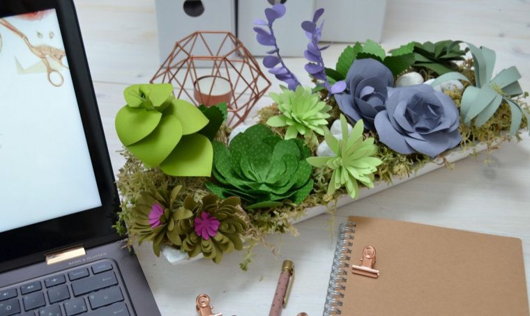 Una composizione di piante grasse succulente di carta
