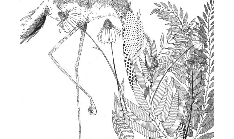 CasaFacile FlaviaTesti illustrazione