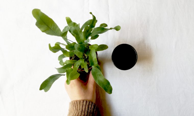Quando il minimalismo ti conquista all’improvviso