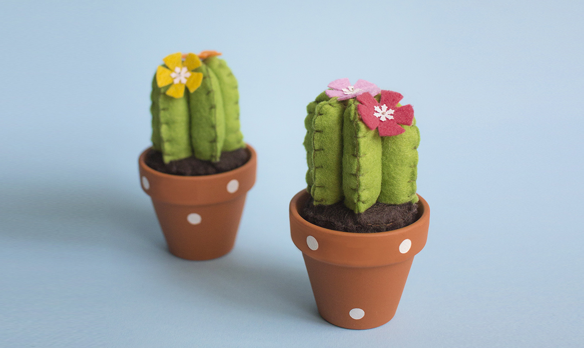 cactus tessuto