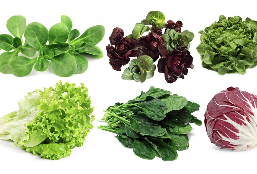 6 insalate da coltivare nell’orto