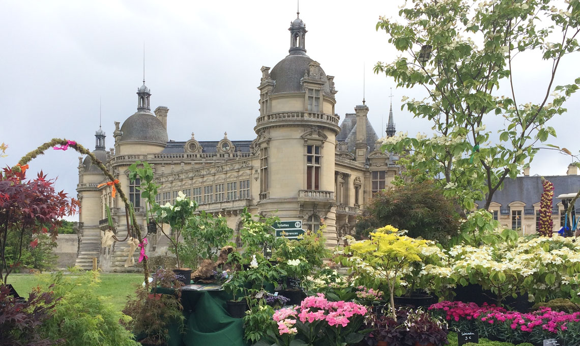 Chantilly