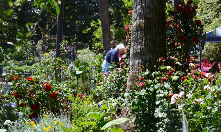 15 fiere, eventi e mostre dedicate a piante e fiori a maggio 2018