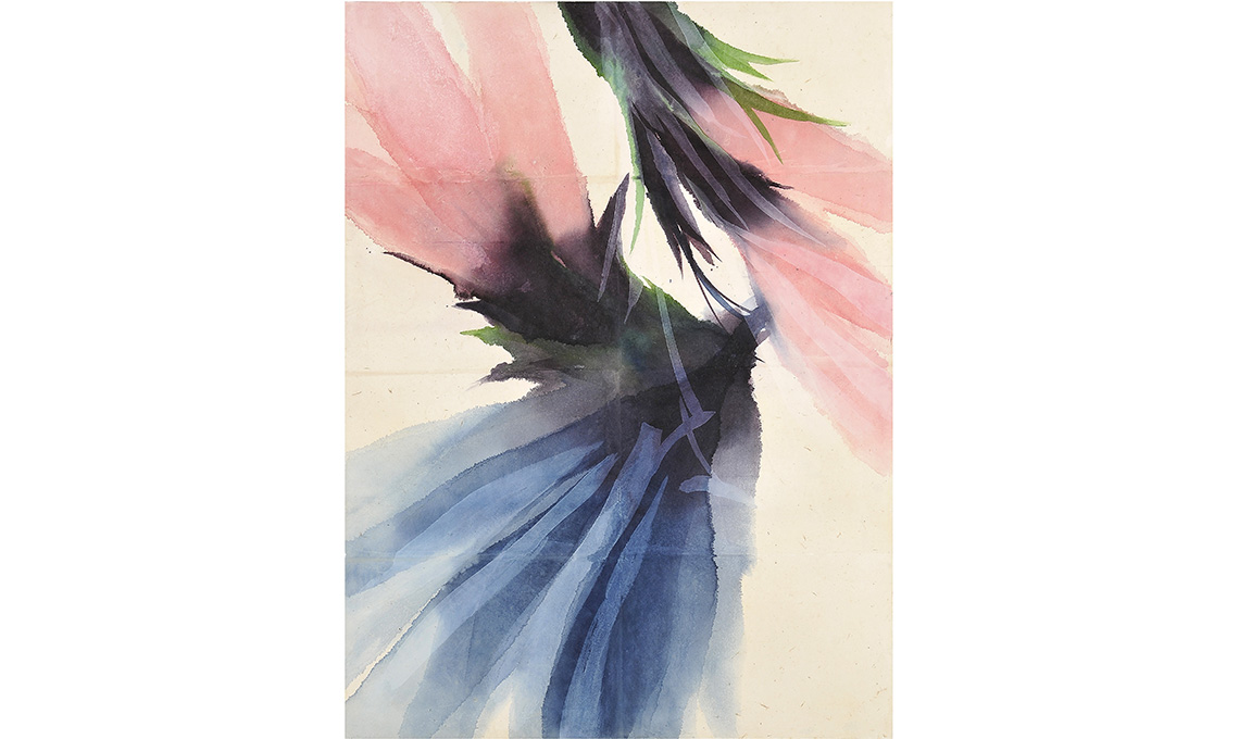 biennale disegno rimini