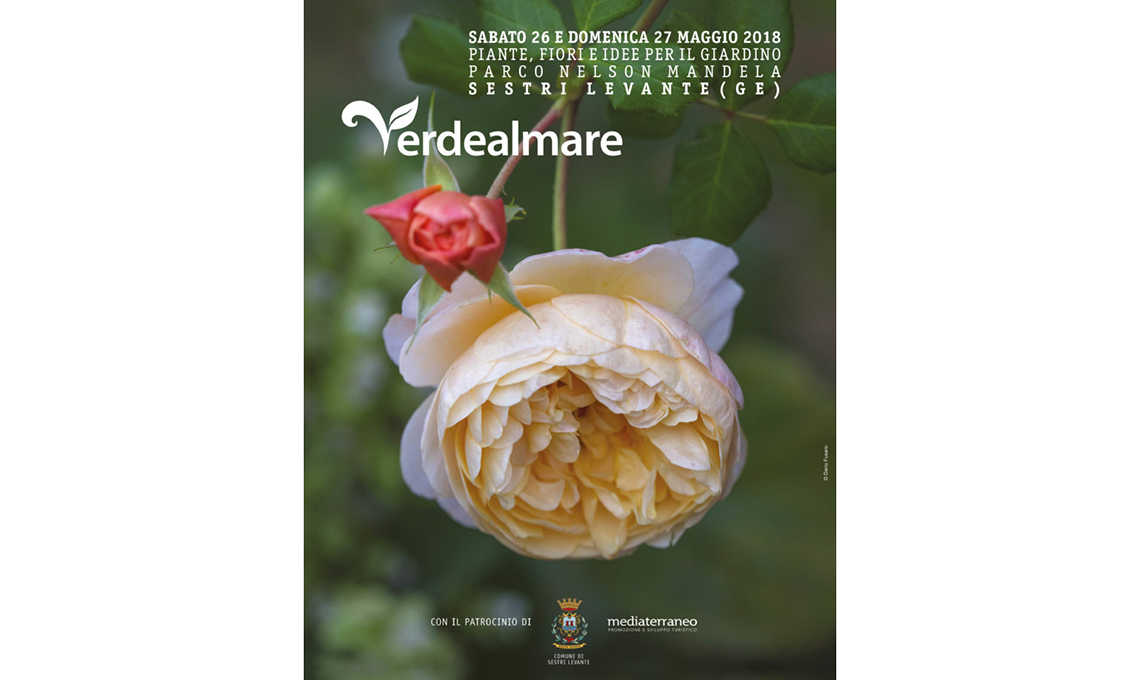 Verdealmare