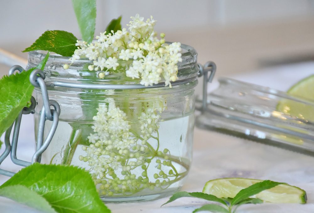 La ricetta per preparare le frittelle di fiori di sambuco e robinia