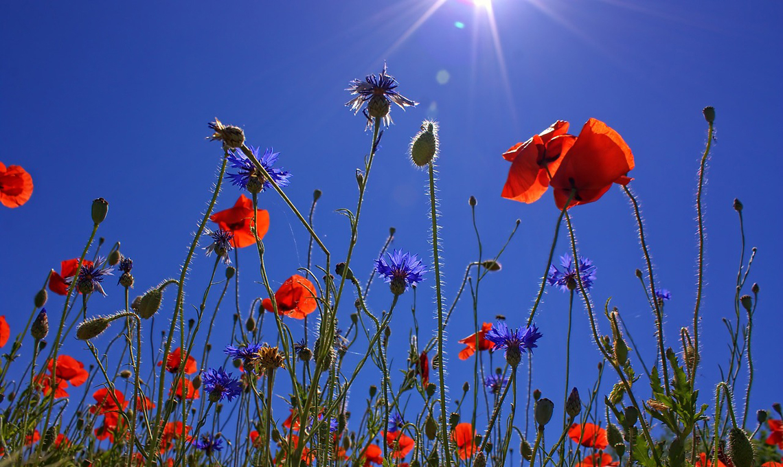 solstizio d'estate.