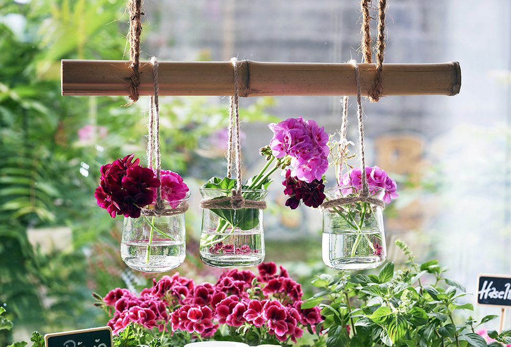 Idee per decorare casa e tavola con gerani e pelargoni