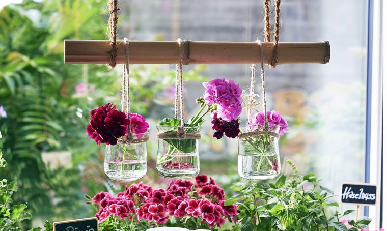 Idee per decorare casa e tavola con gerani e pelargoni