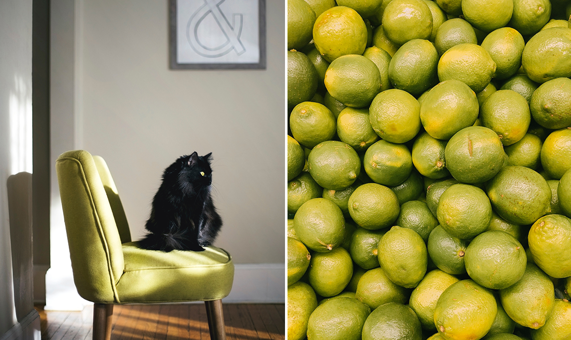 CasaFacile ACaputo giallo pantone-estate2018 poltrona lime