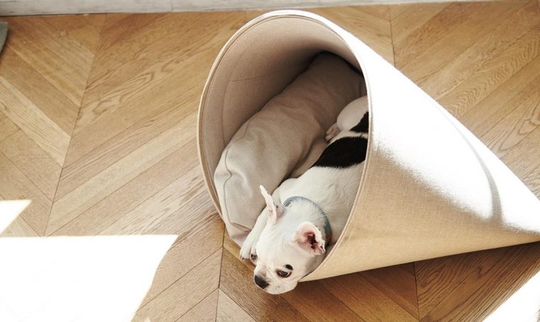 Design e comfort in 10 letti… per cani