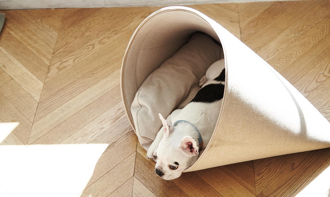 CasaFacile RCardone letti cani NewHowly