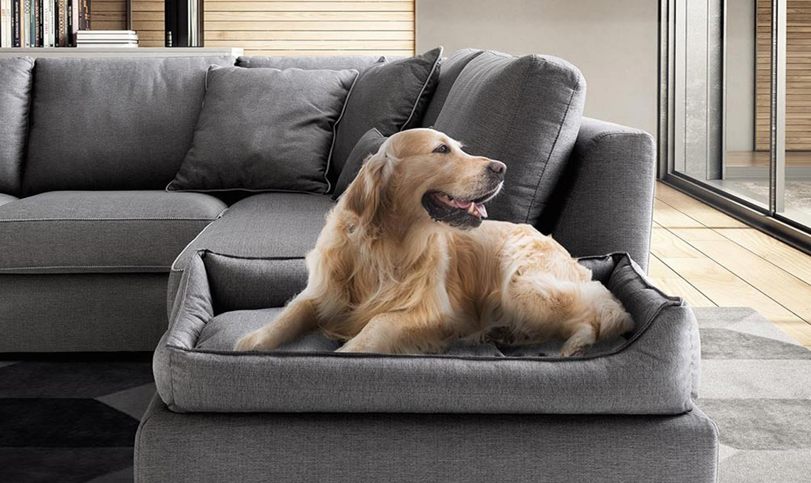 CasaFacile RCardone letti cani Madge