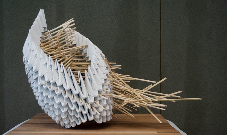 Lucca: Biennale del paper art design